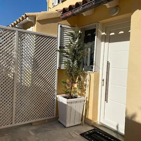 Summer Senses In * קאסיופי