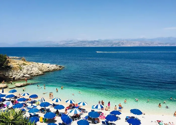 Summer Senses In *