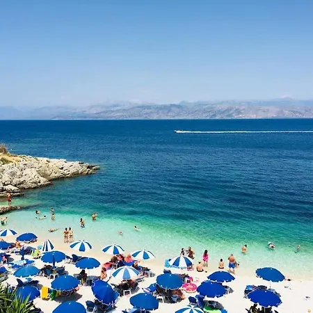 Summer Senses In *